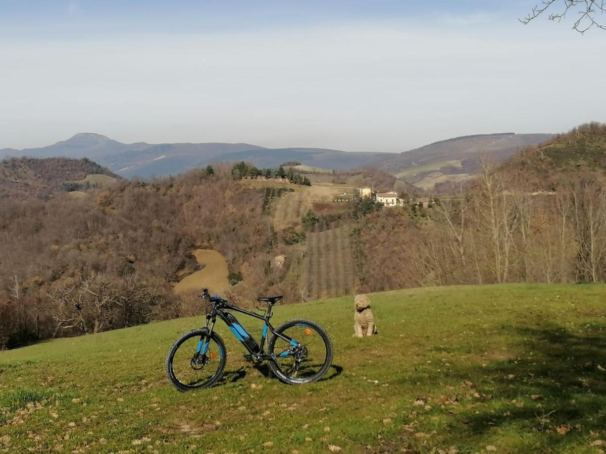 Il Castagneto Camerino Exterior foto